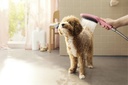 Tay sen tắm dành cho thú cưng HANSGROHE DogShower 150 3jet 26640