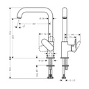 Vòi chậu bếp nóng lạnh HANSGROHE 210 1jet 71857