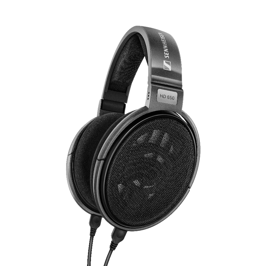 SENNHEISER HD 650 Audiophile Headphones